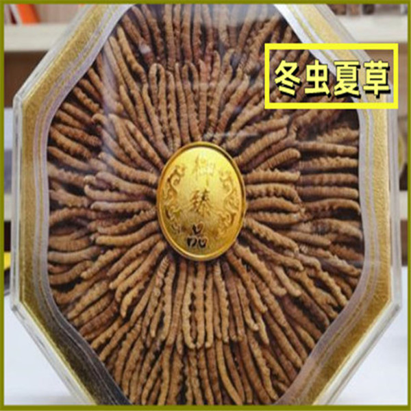 哈尔滨冬虫夏草回收